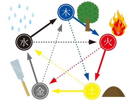 木五行|木（五行之一）